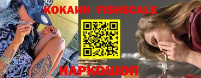 сатива Кингисепп