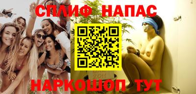 сатива Кингисепп