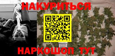 сатива Кингисепп
